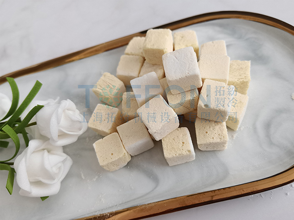 冷凍干燥機(jī)|凍干機(jī)|真空冷凍干燥機(jī)|大型冷凍干燥機(jī)|食品凍干機(jī)|制藥真空冷凍干燥機(jī)|食品凍干設(shè)備|制藥冷凍干燥機(jī)