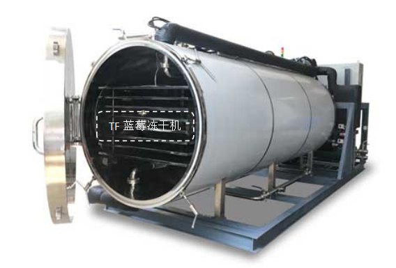 冷凍干燥機|凍干機|真空冷凍干燥機|大型冷凍干燥機|食品凍干機|制藥真空冷凍干燥機|食品凍干設(shè)備|制藥冷凍干燥機