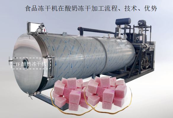 冷凍干燥機|凍干機|真空冷凍干燥機|大型冷凍干燥機|食品凍干機|制藥真空冷凍干燥機|食品凍干設備|制藥冷凍干燥機
