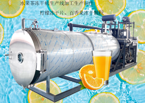 冷凍干燥機|凍干機|真空冷凍干燥機|大型冷凍干燥機|食品凍干機|制藥真空冷凍干燥機|食品凍干設(shè)備|制藥冷凍干燥機