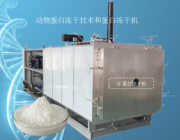 冷凍干燥機(jī)|凍干機(jī)|真空冷凍干燥機(jī)|大型冷凍干燥機(jī)|食品凍干機(jī)|制藥真空冷凍干燥機(jī)|食品凍干設(shè)備|制藥冷凍干燥機(jī)