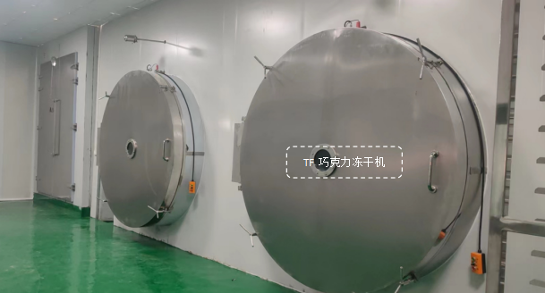 冷凍干燥機|凍干機|真空冷凍干燥機|大型冷凍干燥機|食品凍干機|制藥真空冷凍干燥機|食品凍干設備|制藥冷凍干燥機
