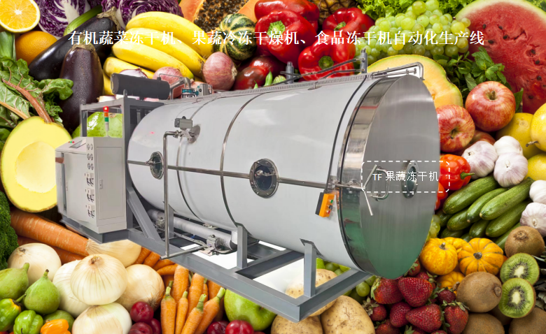 冷凍干燥機(jī)|凍干機(jī)|真空冷凍干燥機(jī)|大型冷凍干燥機(jī)|食品凍干機(jī)|制藥真空冷凍干燥機(jī)|食品凍干設(shè)備|制藥冷凍干燥機(jī)