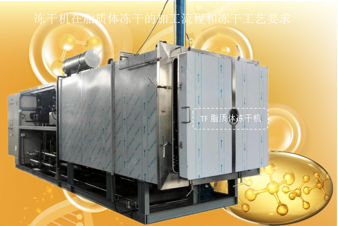 冷凍干燥機(jī)|凍干機(jī)|真空冷凍干燥機(jī)|大型冷凍干燥機(jī)|食品凍干機(jī)|制藥真空冷凍干燥機(jī)|食品凍干設(shè)備|制藥冷凍干燥機(jī)