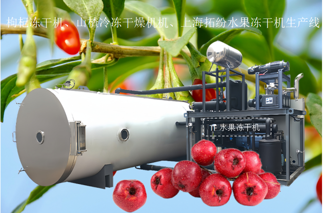 冷凍干燥機(jī)|凍干機(jī)|真空冷凍干燥機(jī)|大型冷凍干燥機(jī)|食品凍干機(jī)|制藥真空冷凍干燥機(jī)|食品凍干設(shè)備|制藥冷凍干燥機(jī)