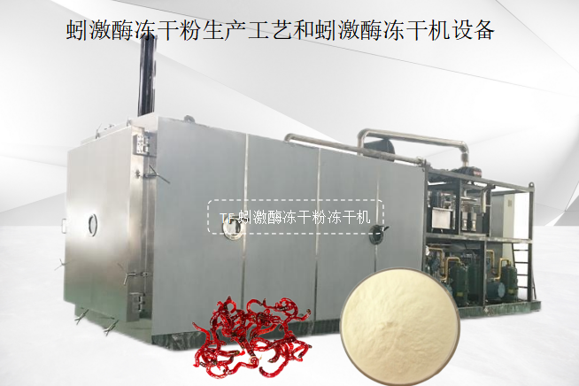 冷凍干燥機(jī)|凍干機(jī)|真空冷凍干燥機(jī)|大型冷凍干燥機(jī)|食品凍干機(jī)|制藥真空冷凍干燥機(jī)|食品凍干設(shè)備|制藥冷凍干燥機(jī)