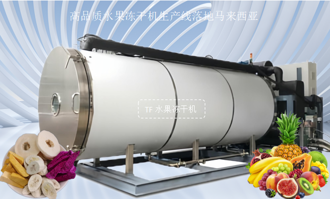 冷凍干燥機(jī)|凍干機(jī)|真空冷凍干燥機(jī)|大型冷凍干燥機(jī)|食品凍干機(jī)|制藥真空冷凍干燥機(jī)|食品凍干設(shè)備|制藥冷凍干燥機(jī)