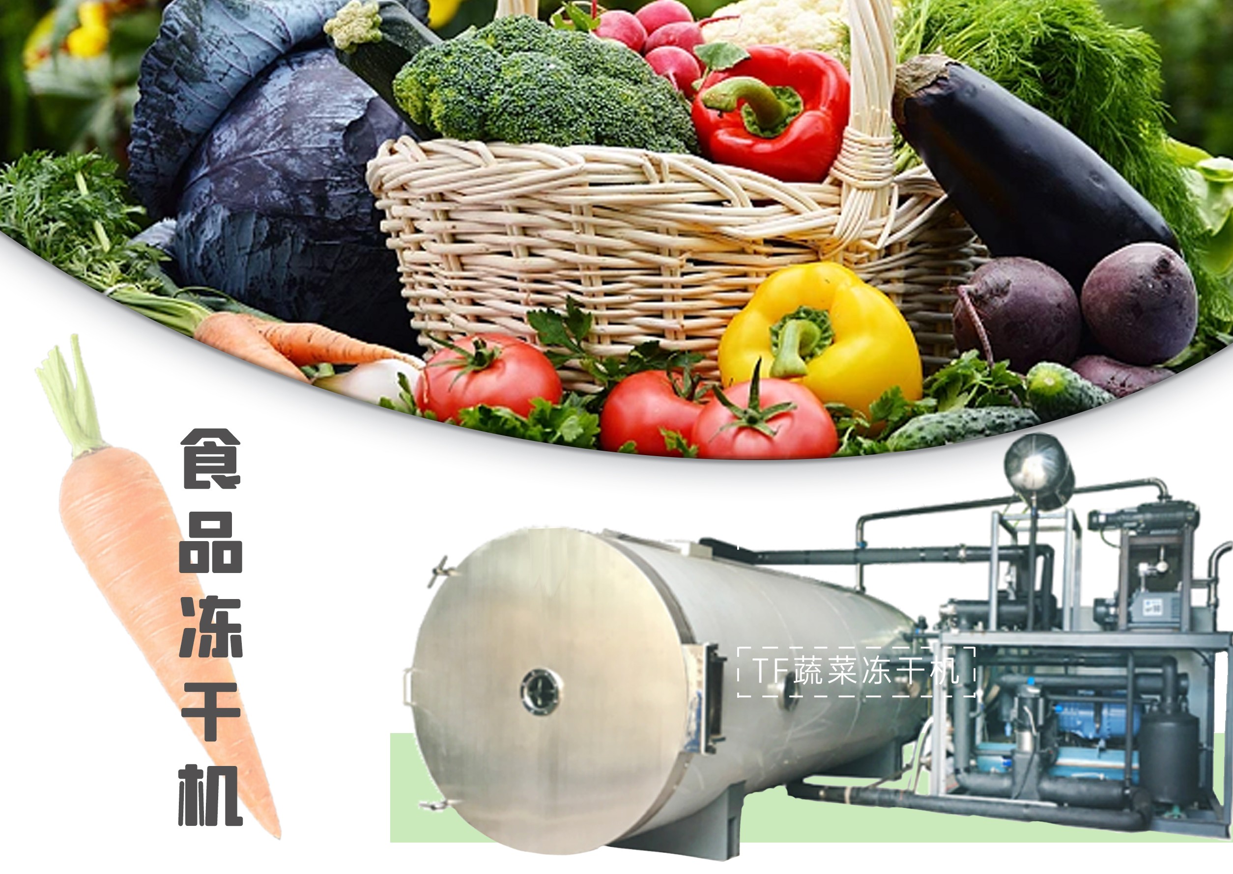 冷凍干燥機|凍干機|真空冷凍干燥機|大型冷凍干燥機|食品凍干機|制藥真空冷凍干燥機|食品凍干設(shè)備|制藥冷凍干燥機
