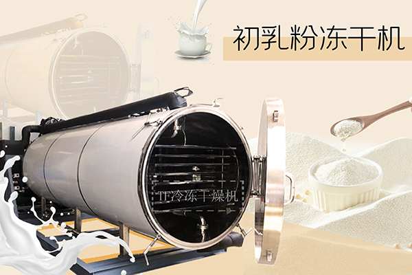 冷凍干燥機|凍干機|真空冷凍干燥機|大型冷凍干燥機|食品凍干機|制藥真空冷凍干燥機|食品凍干設備|制藥冷凍干燥機