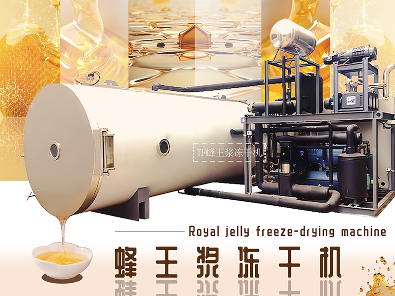 冷凍干燥機(jī)|凍干機(jī)|真空冷凍干燥機(jī)|大型冷凍干燥機(jī)|食品凍干機(jī)|制藥真空冷凍干燥機(jī)|食品凍干設(shè)備|制藥冷凍干燥機(jī)