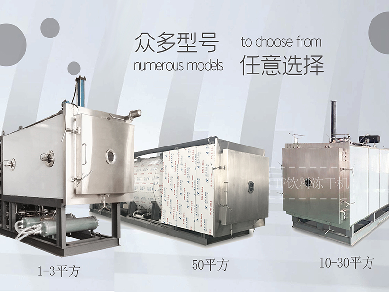 冷凍干燥機|凍干機|真空冷凍干燥機|大型冷凍干燥機|食品凍干機|制藥真空冷凍干燥機|食品凍干設備|制藥冷凍干燥機