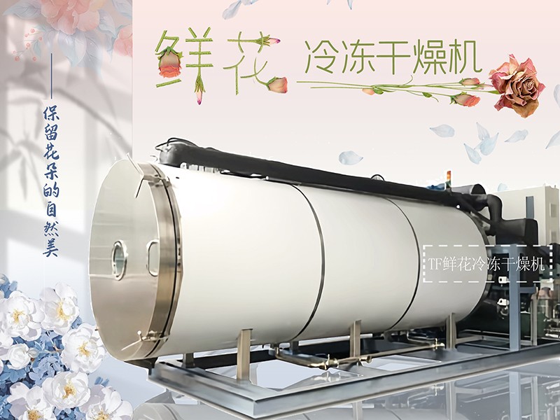 冷凍干燥機|凍干機|真空冷凍干燥機|大型冷凍干燥機|食品凍干機|制藥真空冷凍干燥機|食品凍干設備|制藥冷凍干燥機