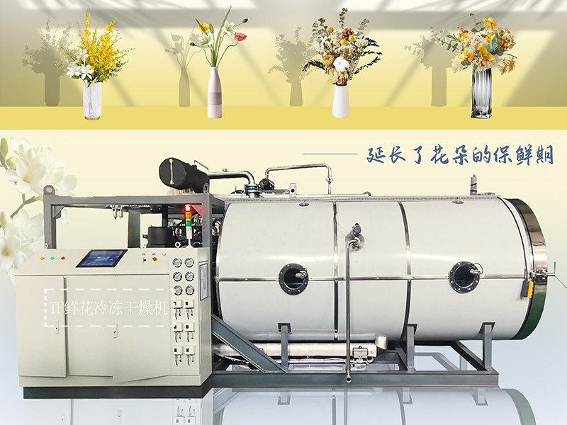 冷凍干燥機|凍干機|真空冷凍干燥機|大型冷凍干燥機|食品凍干機|制藥真空冷凍干燥機|食品凍干設備|制藥冷凍干燥機