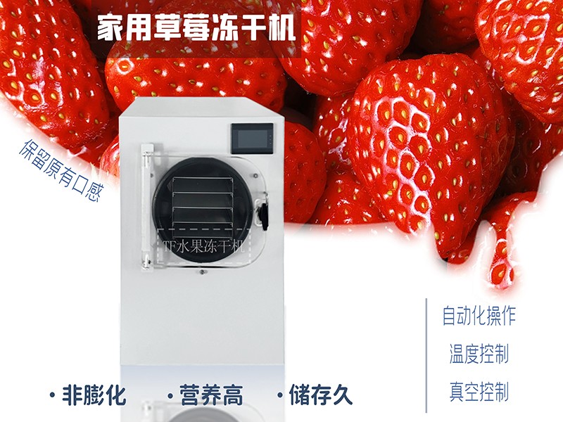 冷凍干燥機|凍干機|真空冷凍干燥機|大型冷凍干燥機|食品凍干機|制藥真空冷凍干燥機|食品凍干設備|制藥冷凍干燥機