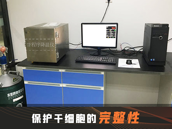 冷凍干燥機|凍干機|真空冷凍干燥機|大型冷凍干燥機|食品凍干機|制藥真空冷凍干燥機|食品凍干設備|制藥冷凍干燥機