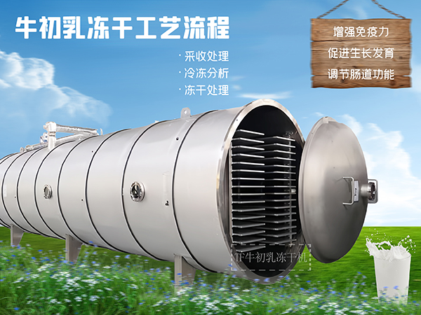 冷凍干燥機(jī)|凍干機(jī)|真空冷凍干燥機(jī)|大型冷凍干燥機(jī)|食品凍干機(jī)|制藥真空冷凍干燥機(jī)|食品凍干設(shè)備|制藥冷凍干燥機(jī)