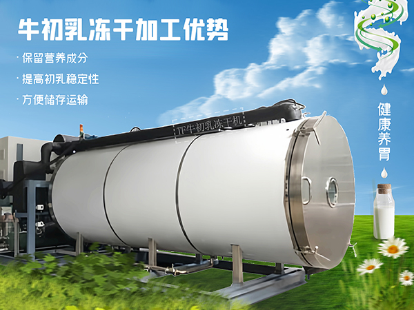 冷凍干燥機(jī)|凍干機(jī)|真空冷凍干燥機(jī)|大型冷凍干燥機(jī)|食品凍干機(jī)|制藥真空冷凍干燥機(jī)|食品凍干設(shè)備|制藥冷凍干燥機(jī)