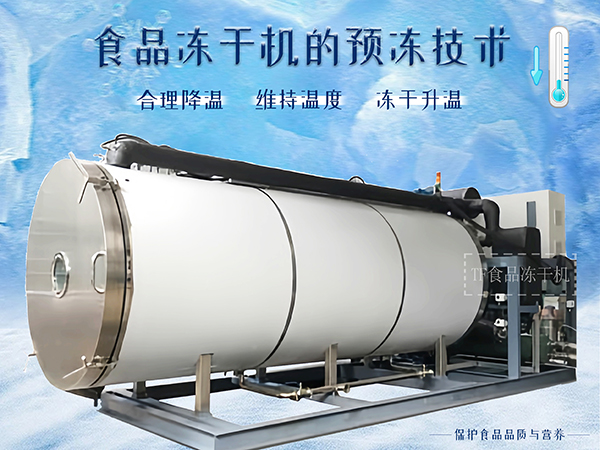 冷凍干燥機|凍干機|真空冷凍干燥機|大型冷凍干燥機|食品凍干機|制藥真空冷凍干燥機|食品凍干設備|制藥冷凍干燥機