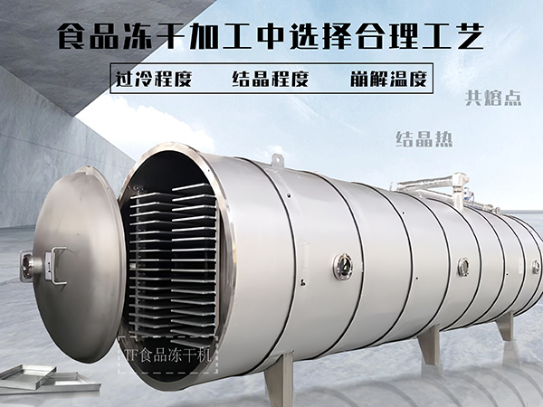 冷凍干燥機(jī)|凍干機(jī)|真空冷凍干燥機(jī)|大型冷凍干燥機(jī)|食品凍干機(jī)|制藥真空冷凍干燥機(jī)|食品凍干設(shè)備|制藥冷凍干燥機(jī)