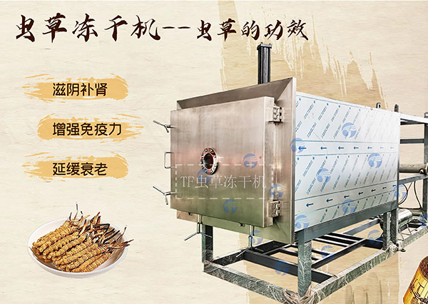 冷凍干燥機|凍干機|真空冷凍干燥機|大型冷凍干燥機|食品凍干機|制藥真空冷凍干燥機|食品凍干設(shè)備|制藥冷凍干燥機