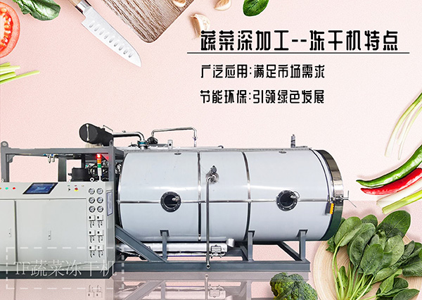 冷凍干燥機|凍干機|真空冷凍干燥機|大型冷凍干燥機|食品凍干機|制藥真空冷凍干燥機|食品凍干設備|制藥冷凍干燥機