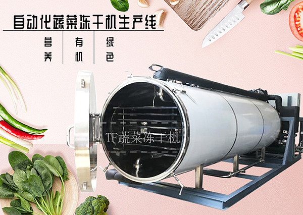 冷凍干燥機|凍干機|真空冷凍干燥機|大型冷凍干燥機|食品凍干機|制藥真空冷凍干燥機|食品凍干設備|制藥冷凍干燥機