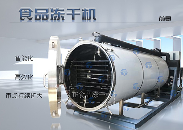 冷凍干燥機|凍干機|真空冷凍干燥機|大型冷凍干燥機|食品凍干機|制藥真空冷凍干燥機|食品凍干設備|制藥冷凍干燥機