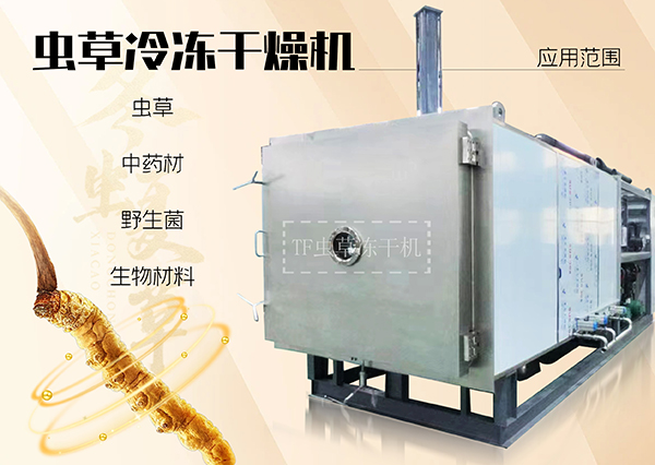 冷凍干燥機|凍干機|真空冷凍干燥機|大型冷凍干燥機|食品凍干機|制藥真空冷凍干燥機|食品凍干設備|制藥冷凍干燥機