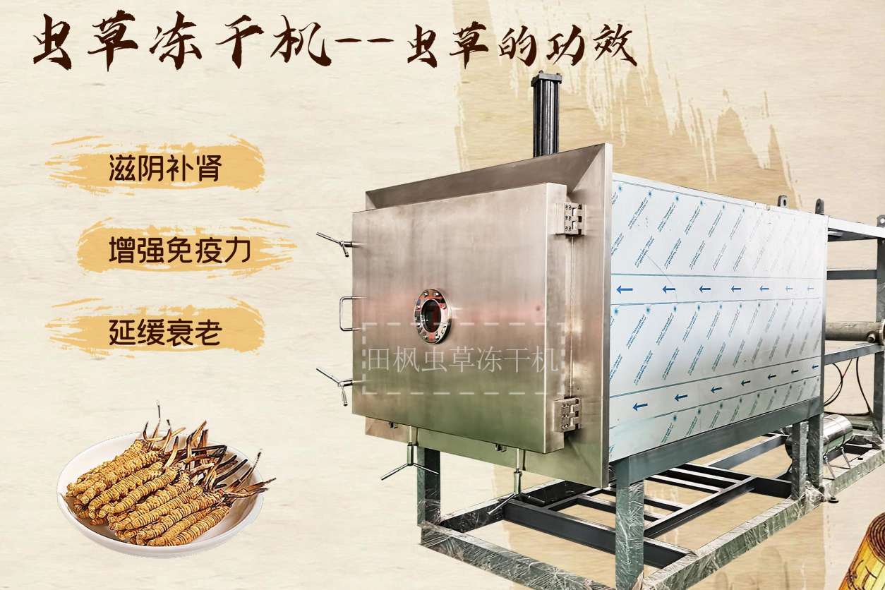 17168563742783.jpg 蟲(chóng)4.jpg