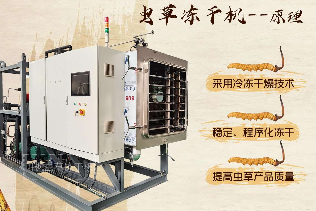 17168563829437.jpg 蟲(chóng)5.jpg