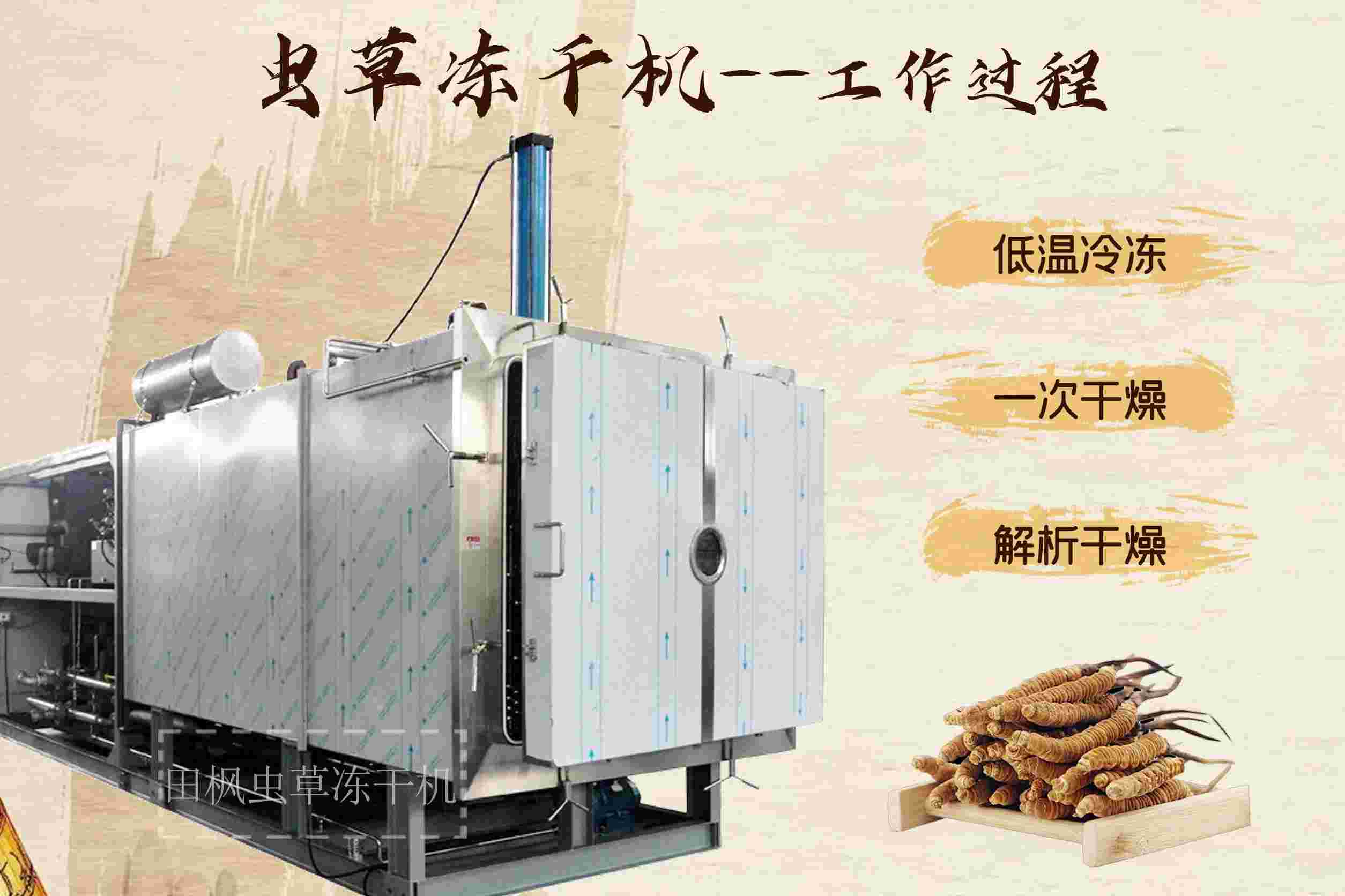 17168563905592.jpg 蟲(chóng)6.jpg