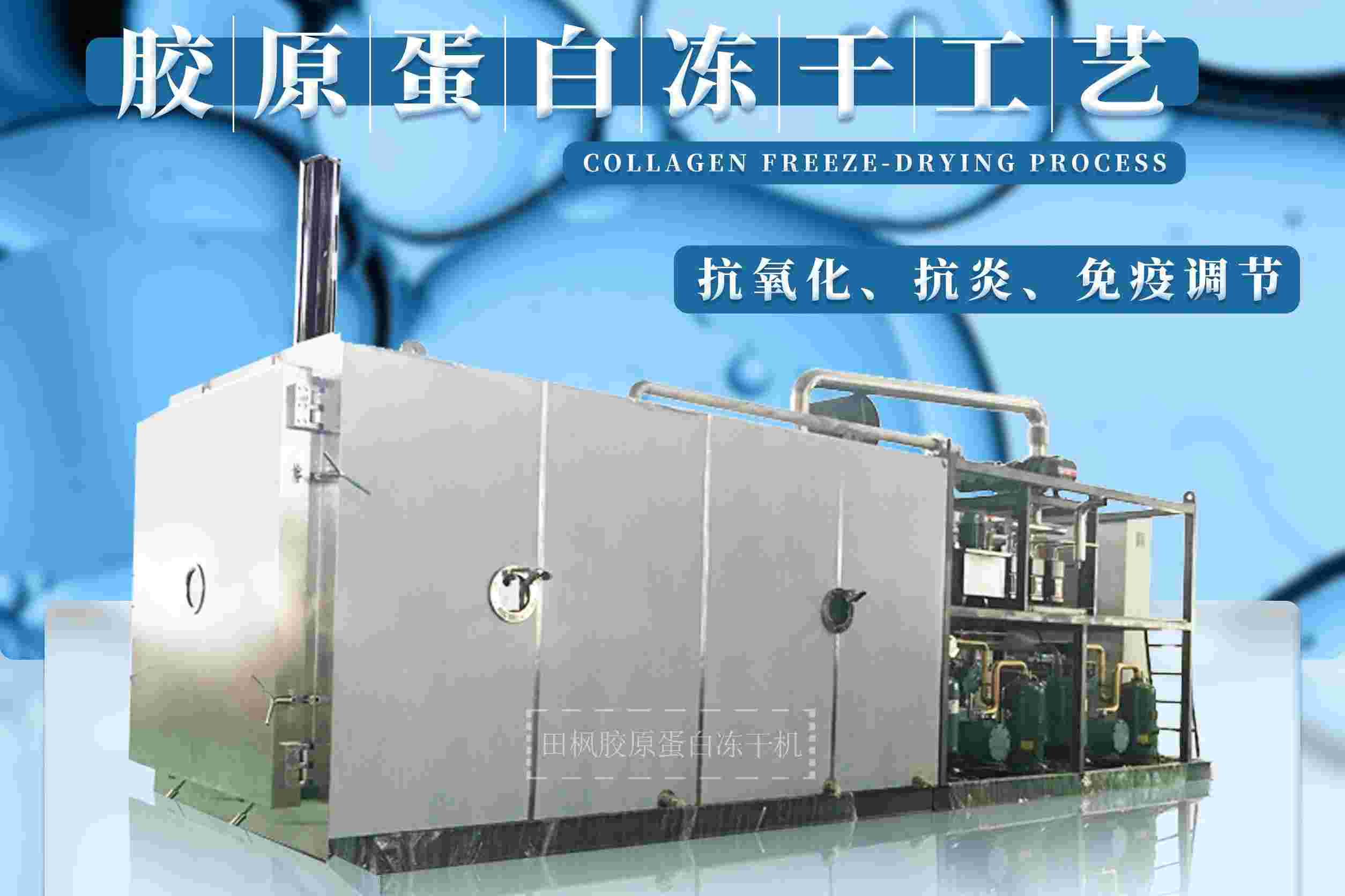 17177221152029.jpg 膠1.jpg