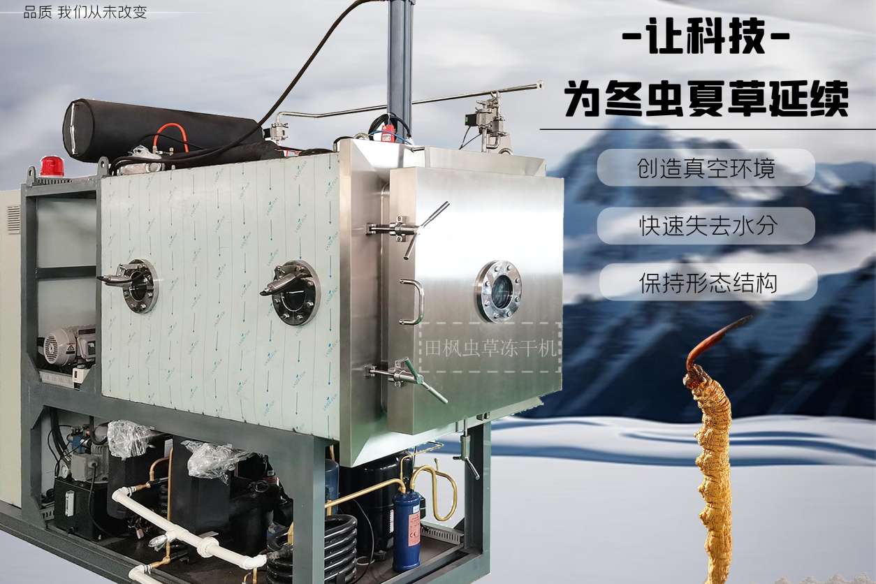 17183358689765.jpg 蟲10.jpg