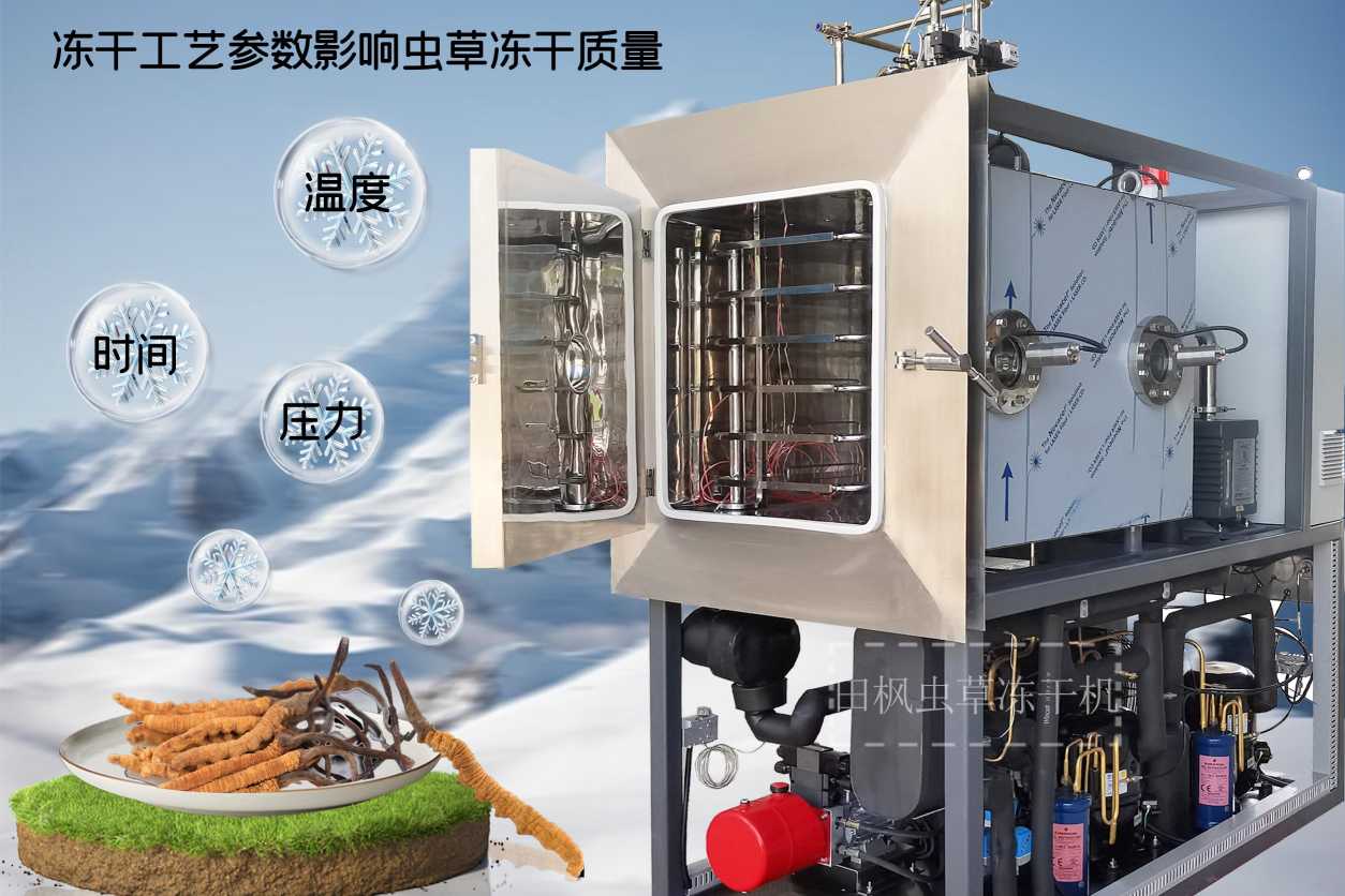 17183358742323.jpg 蟲11.jpg