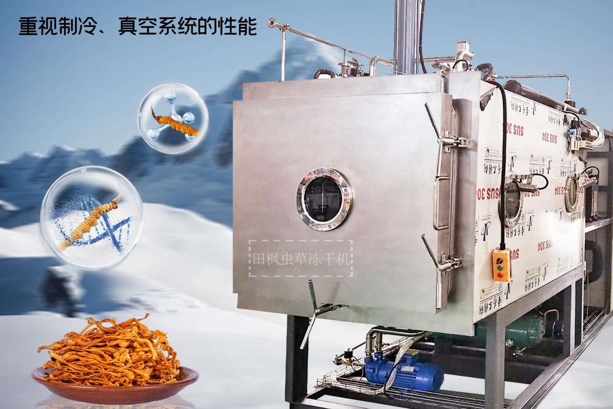 17183358807507.jpg 蟲12.jpg