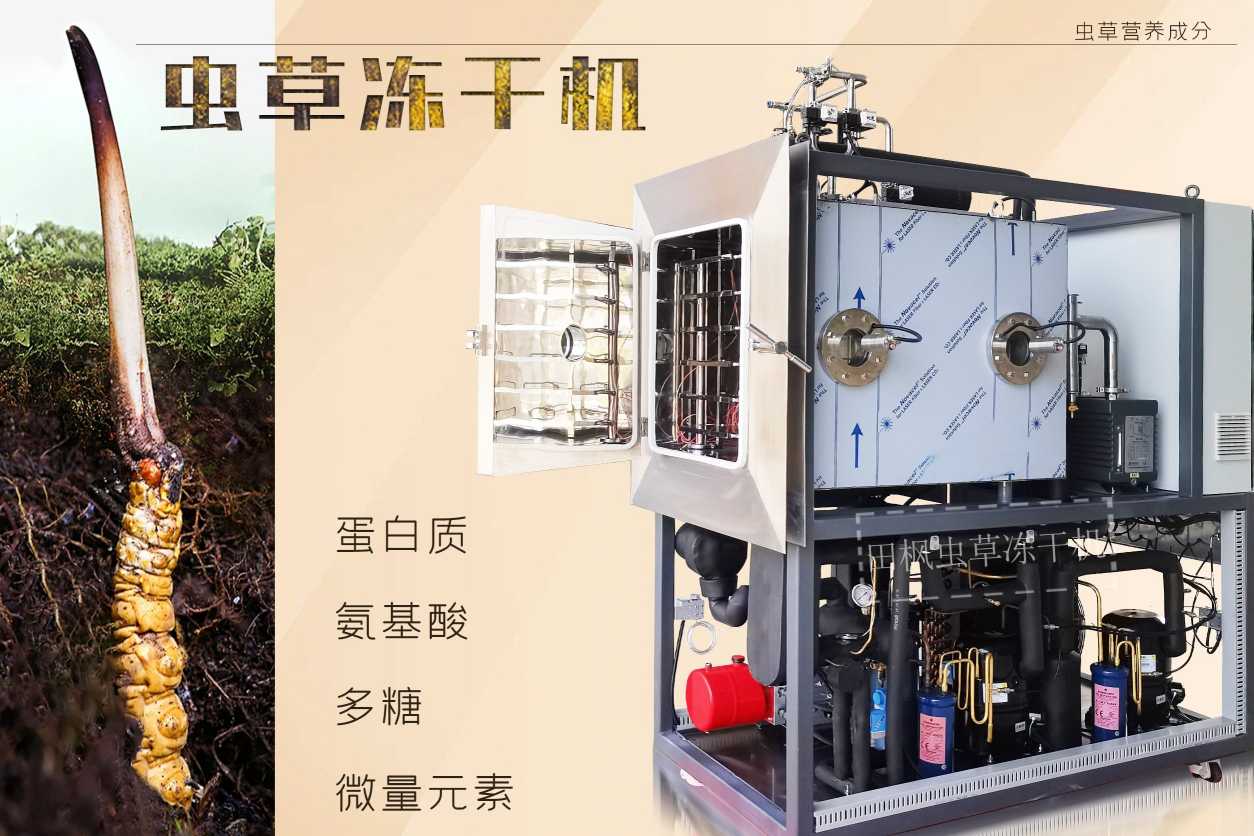 17189499828507.jpg 蟲(chóng)13.jpg