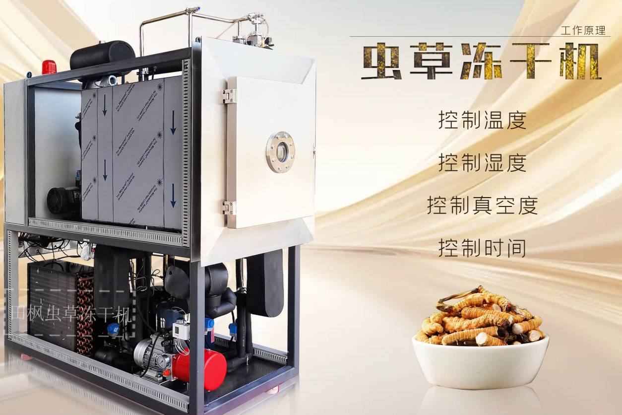 17189499975317.jpg 蟲(chóng)15.jpg