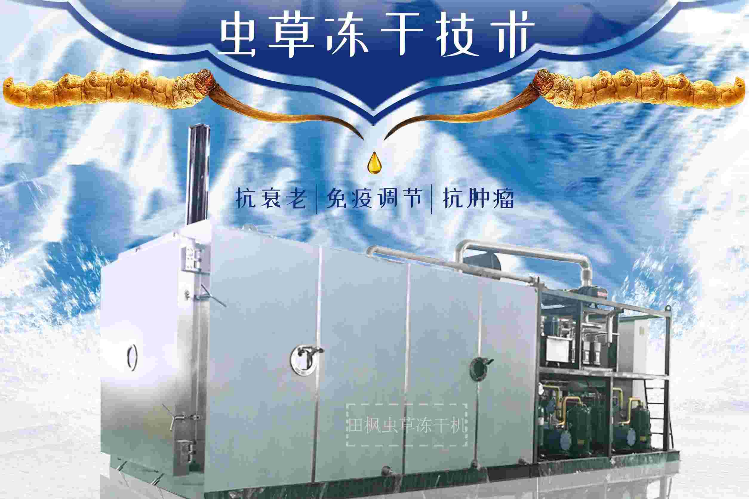 17213500111070.jpg 蟲(chóng)1.jpg