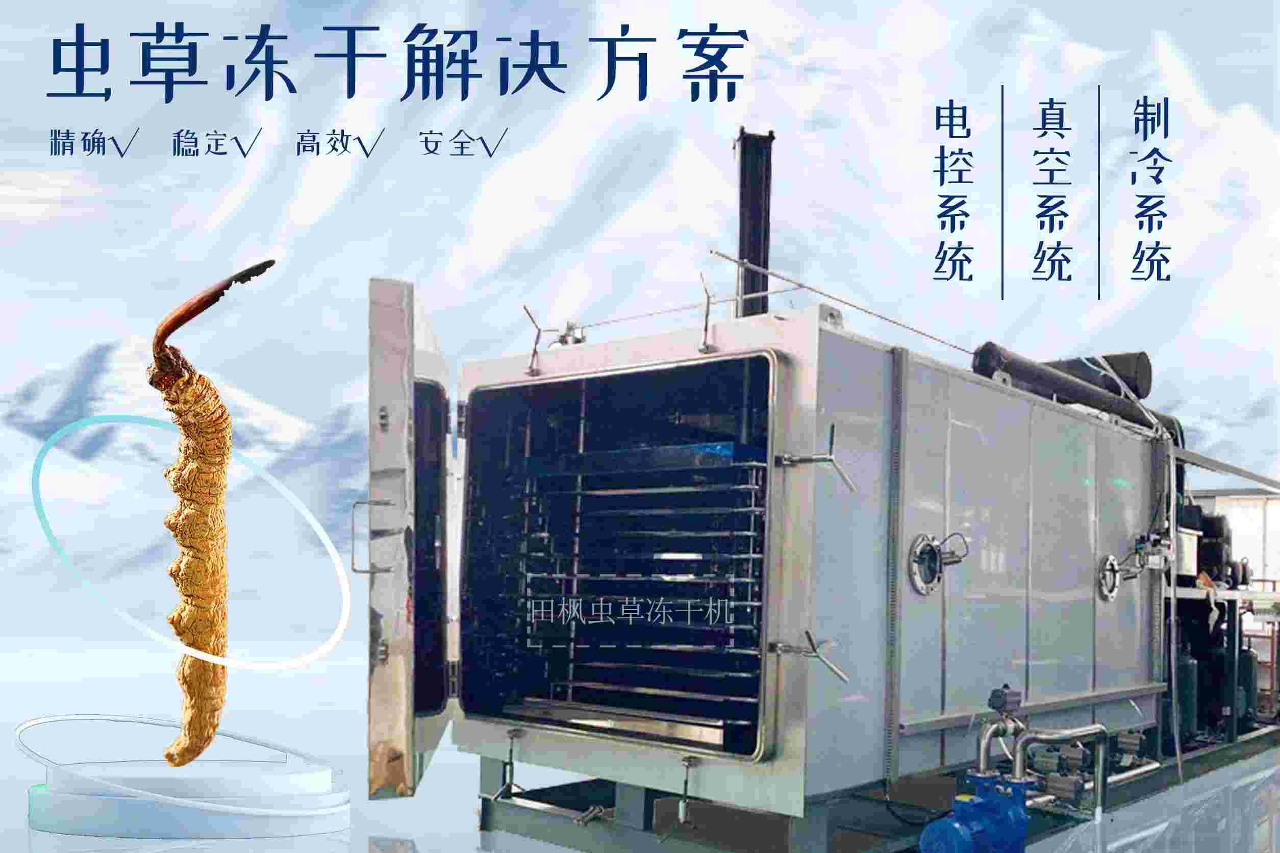 17213500238587.jpg 蟲(chóng)2.jpg