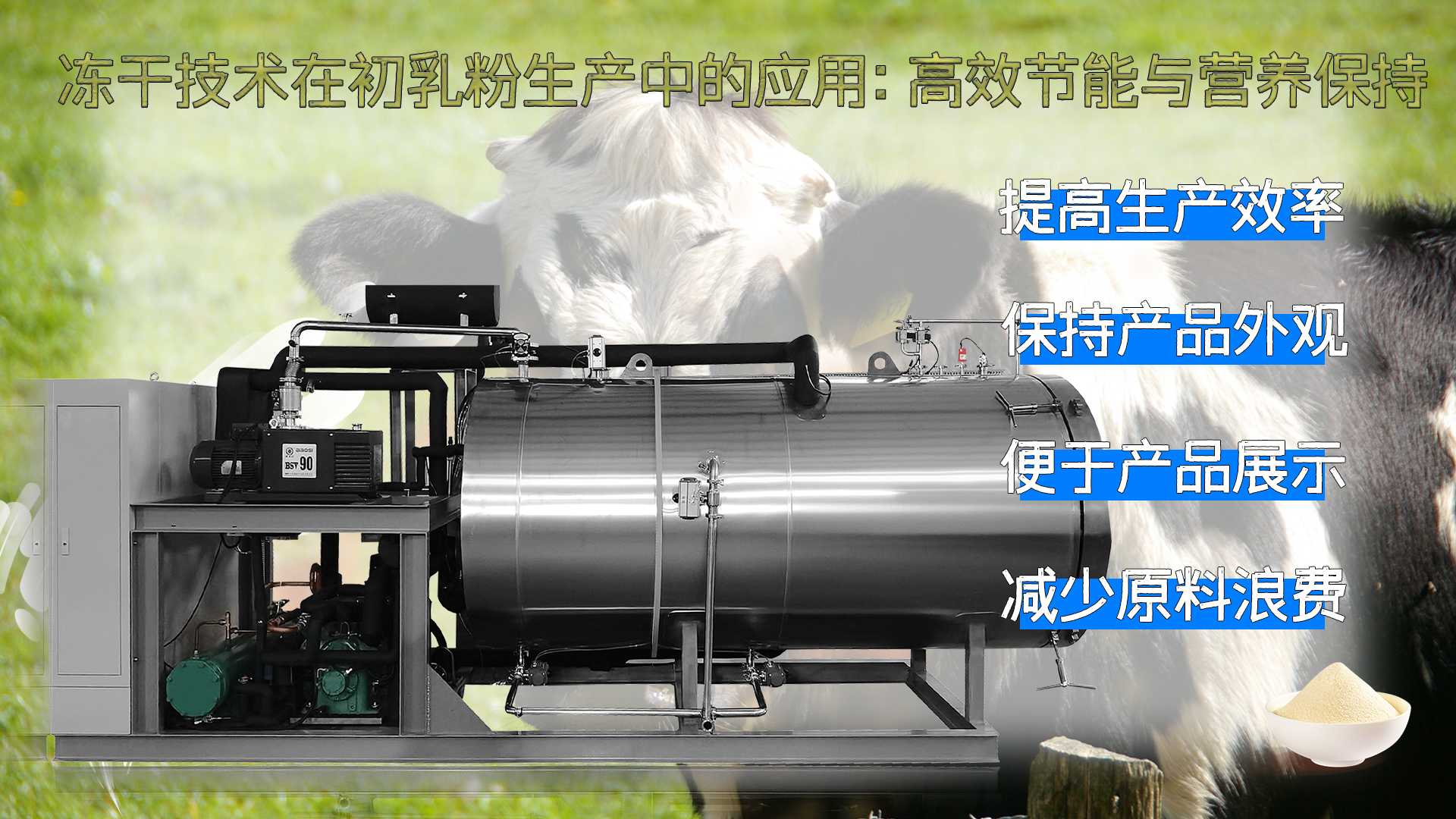 17230825326966.jpg 17230825326966.jpg