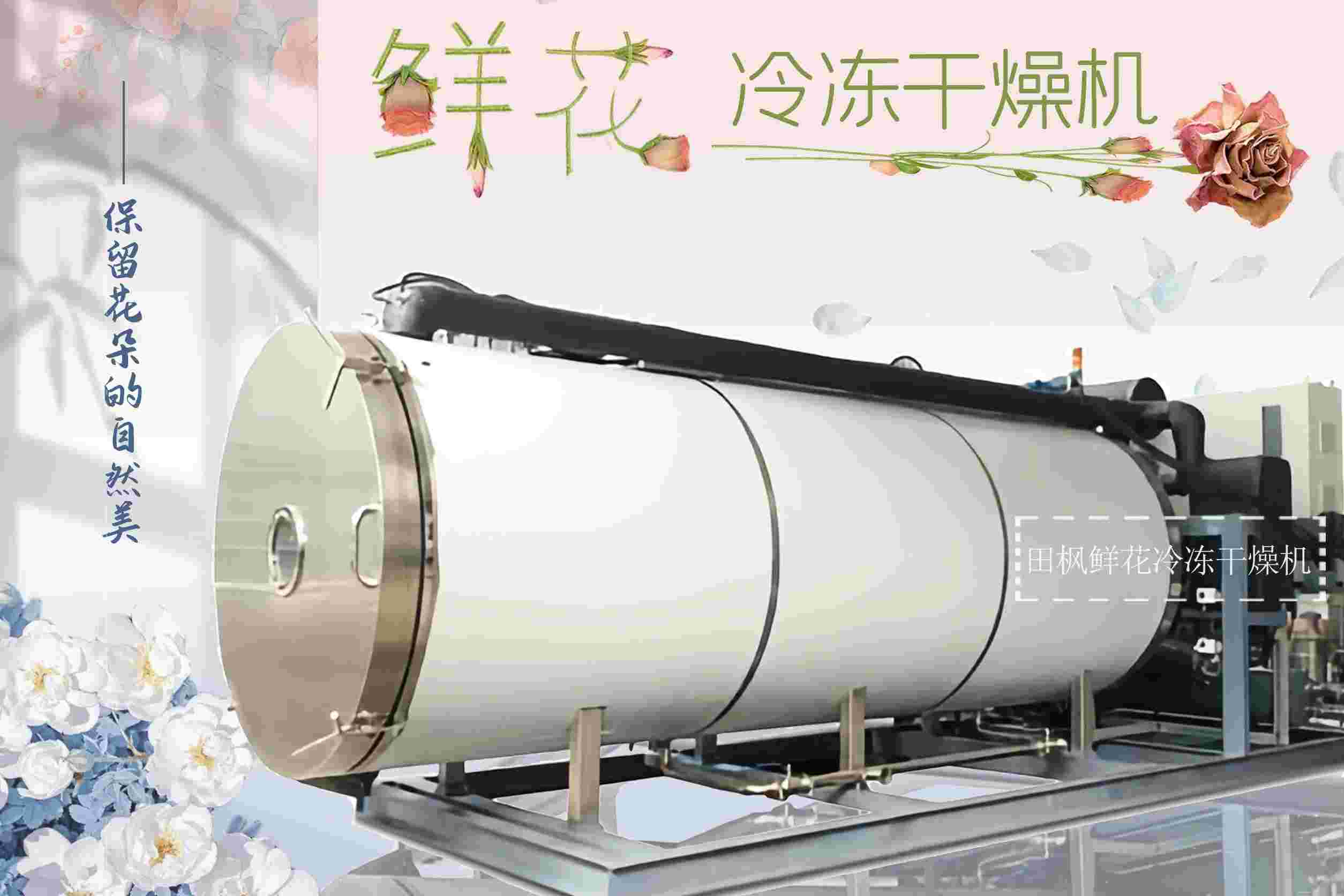 17232529446142.jpg 17232529446142.jpg