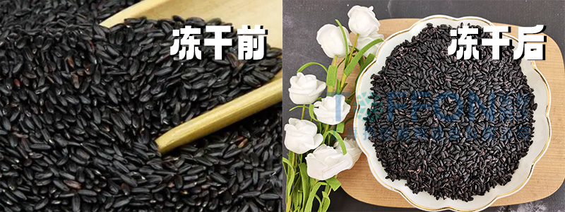 17362973745615.png 圖片 2.png