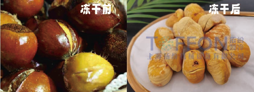 17368217531562.png 圖片 1.png