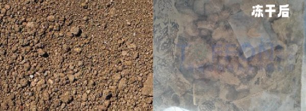 17370901491124.png 圖片 2.png