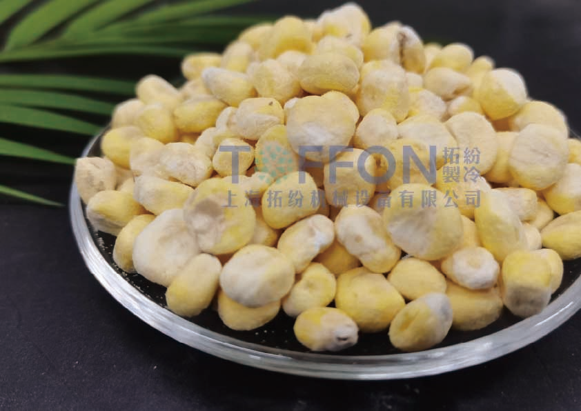 17387299684530.png 圖片 3.png