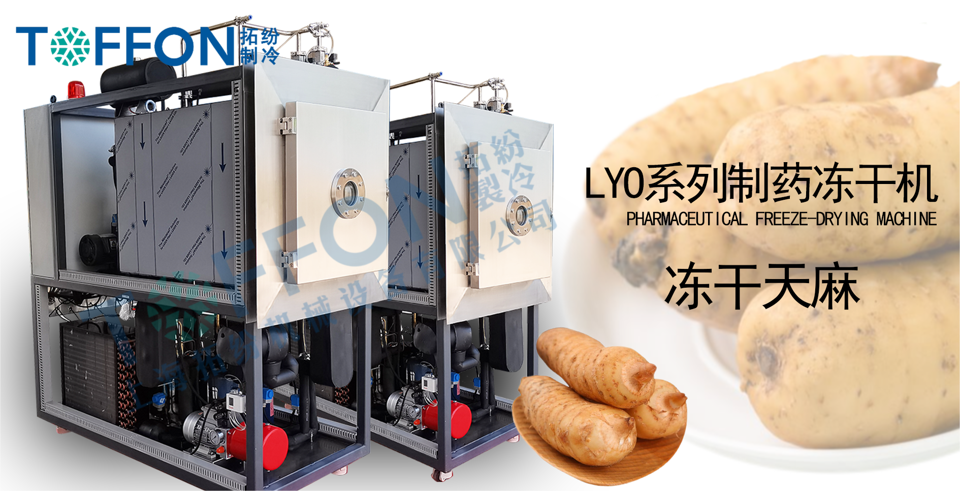 17444351941597.png 拓紛天麻.png