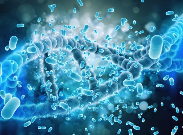 17532480865818.png 17532480865818.png