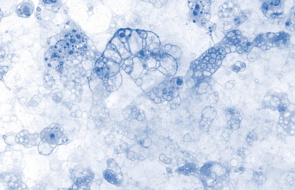 17540274042712.png 17540274042712.png